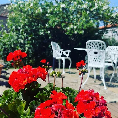 別荘 Casa Do Beco Douro - Parambos