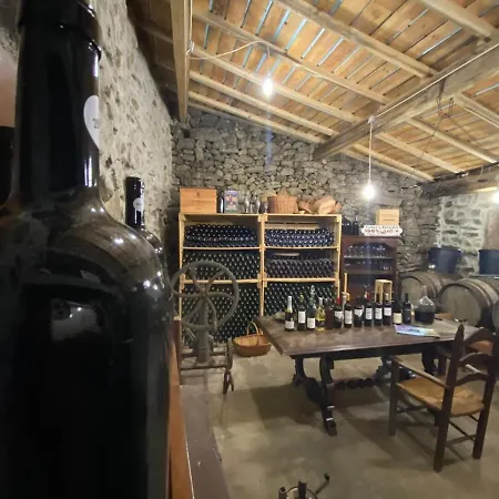 Casa Do Beco Douro - 別荘