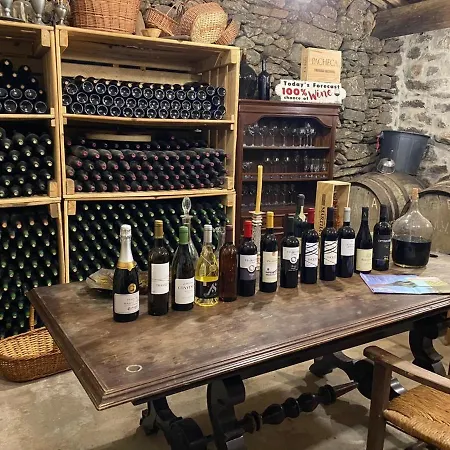 別荘 Casa Do Beco Douro - Parambos