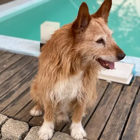 Ferienhaus Casa Do Beco Douro -