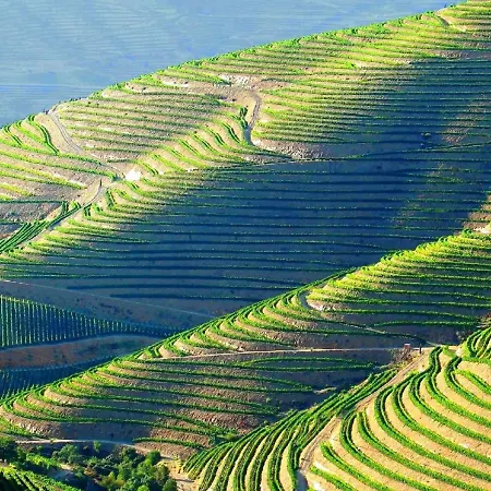 בית נופש Casa Do Beco Douro - Parambos
