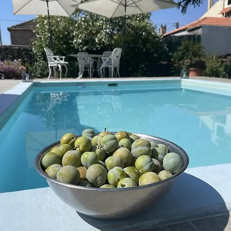 Casa Do Beco Douro - * Parambos