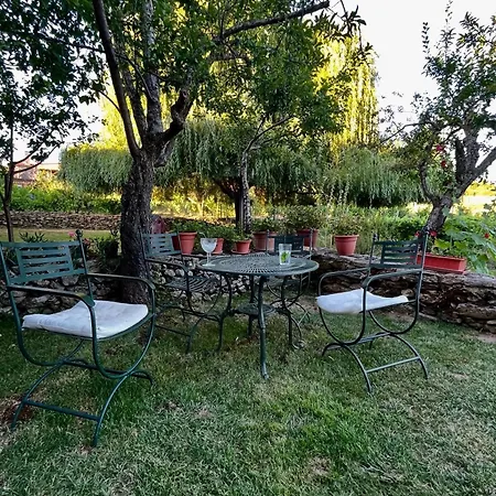 Casa Do Beco Douro - Holiday home