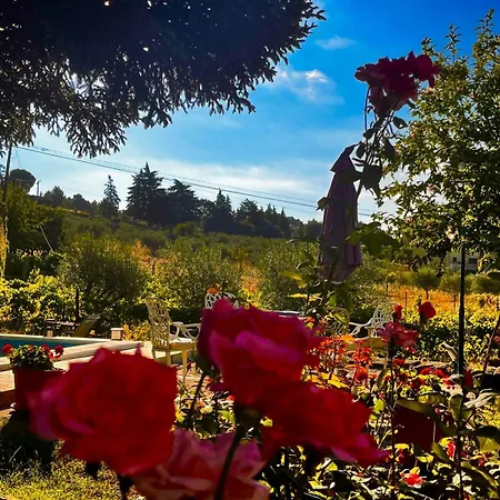 Casa Do Beco Douro - Holiday home *