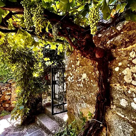 Casa Do Beco Douro - Holiday home Parambos