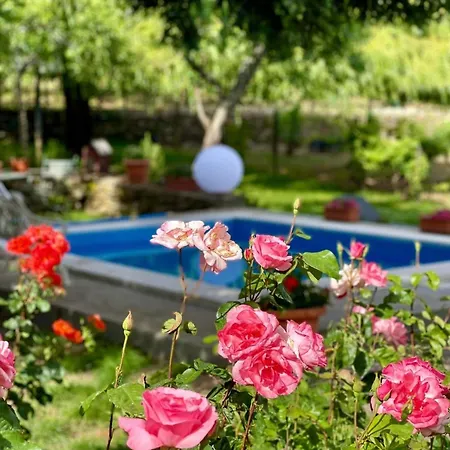 Holiday home Casa Do Beco Douro - Parambos