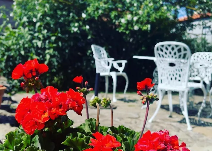 بيت للعطل Casa Do Beco Douro - Parambos