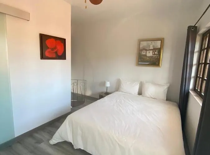 Semesterbostad Casa Do Beco Douro -