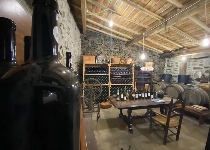 Casa Do Beco Douro - Prázdninový dům