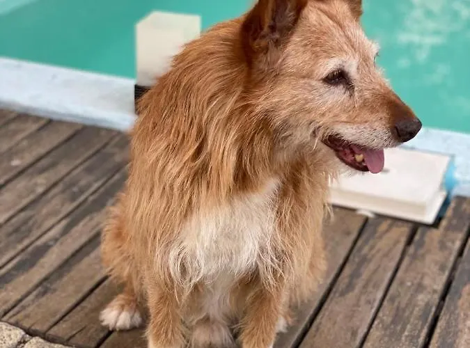 Prázdninový dům Casa Do Beco Douro -