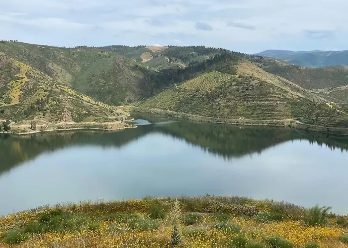 Casa Do Beco Douro - Prázdninový dům Parambos