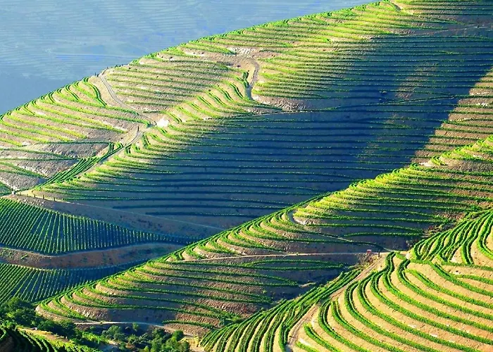 Semesterbostad Casa Do Beco Douro - Parambos