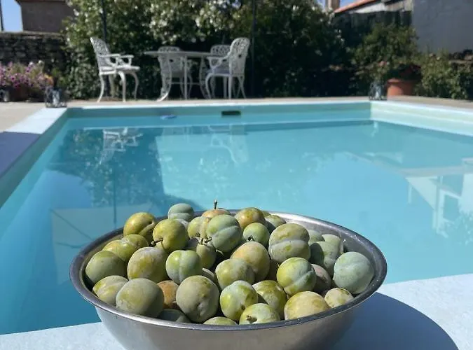 Casa Do Beco Douro - * Parambos